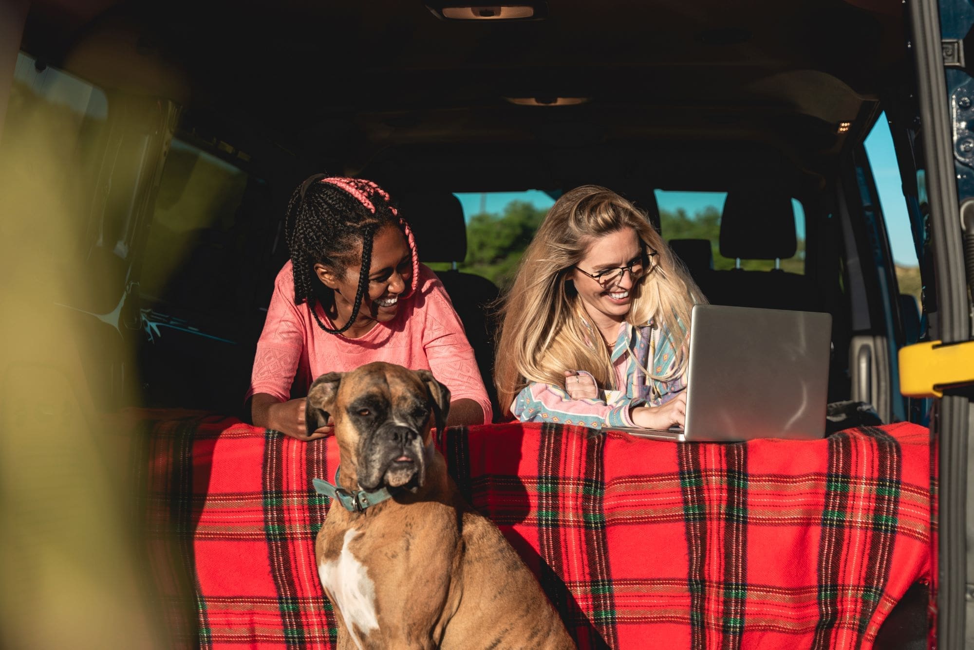 Car Travel With Pets: 10 Tips for Safety and Security