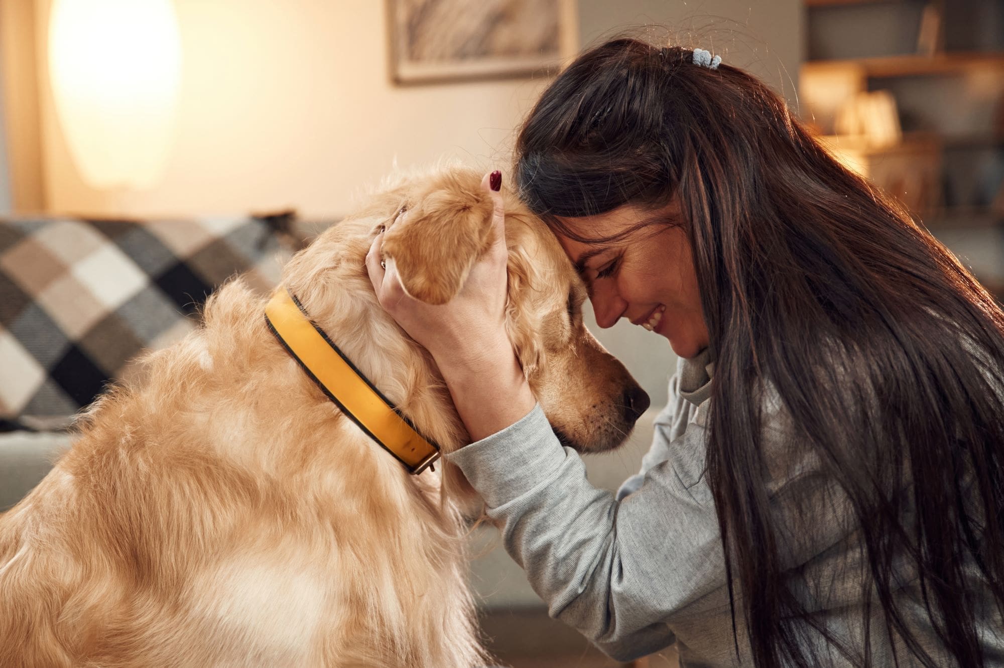7 Emotional Support Dog Breeds for Comfort and Companionship