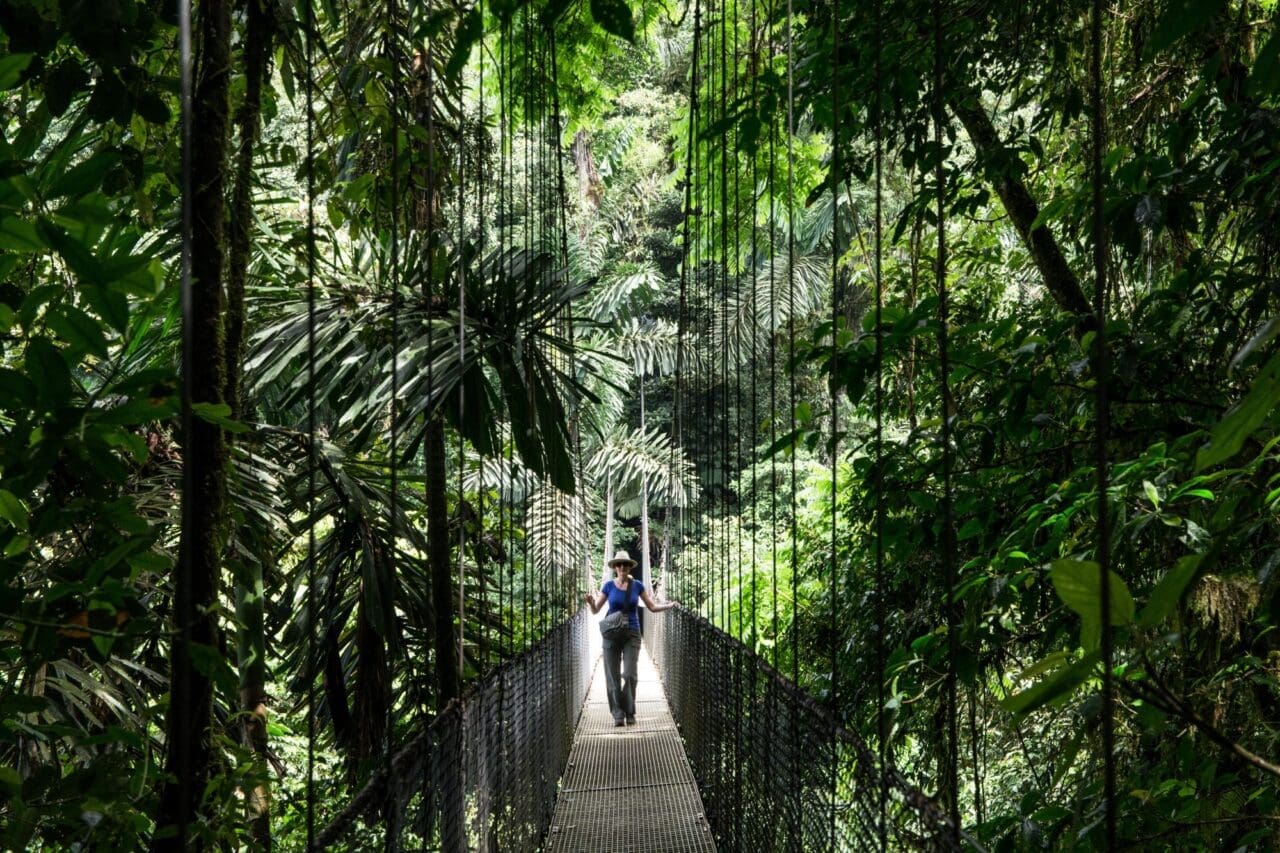 Hanging bridge in a tropical rain forest near Monte Verde