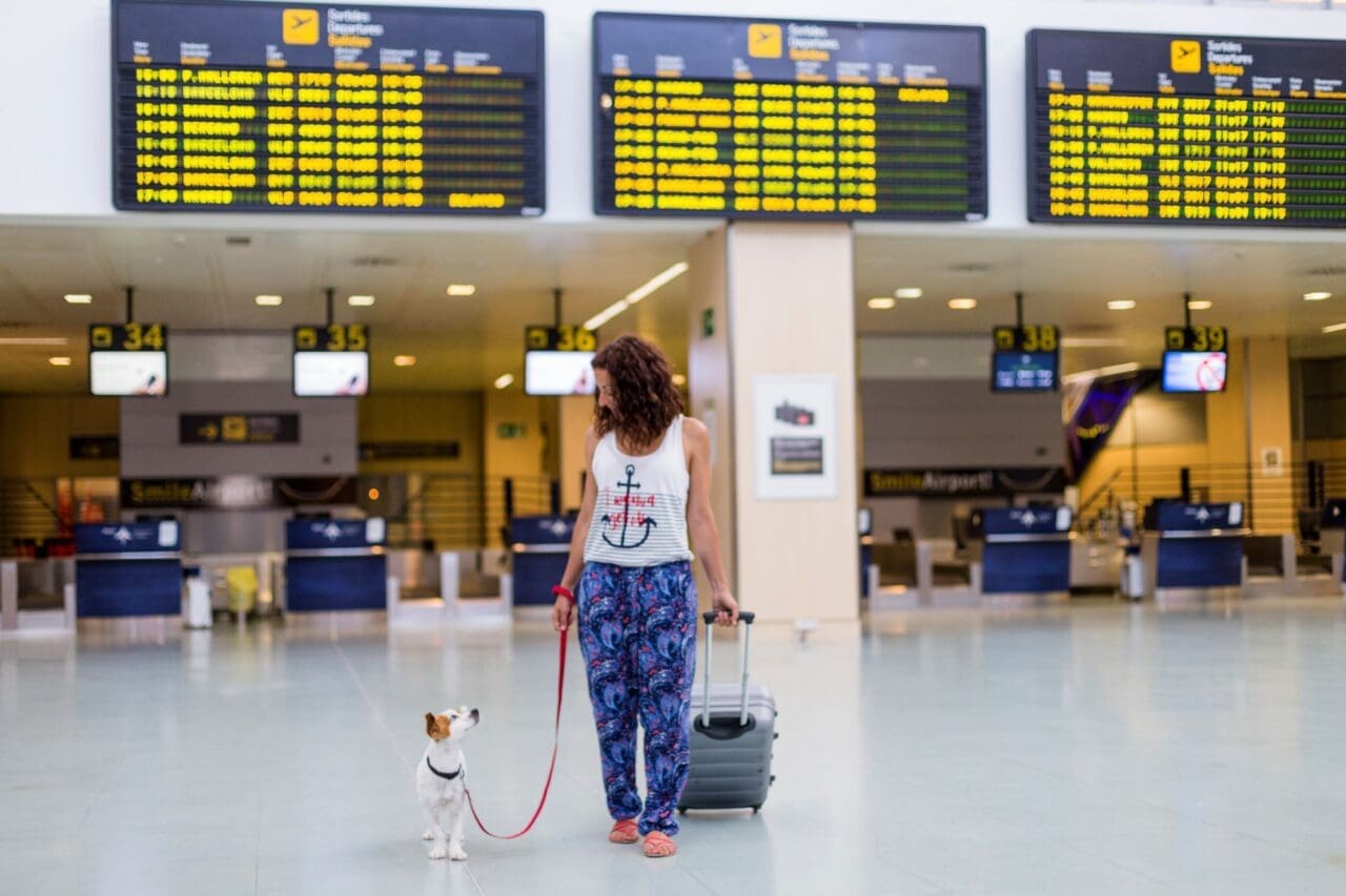 traveler woman and her dog walking by the airport. information screens