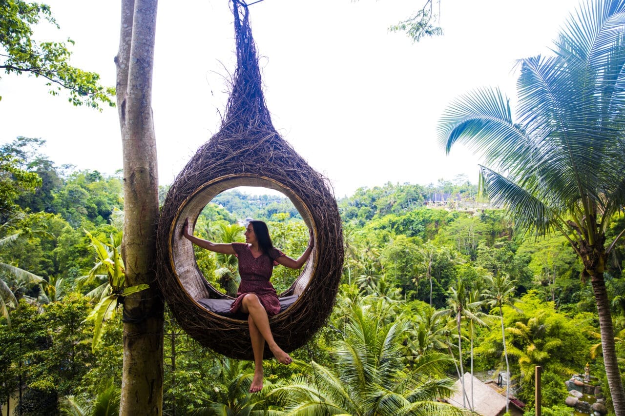 A female tourist is sitting on a large bird nest on a tree at Bali island, Indonesia